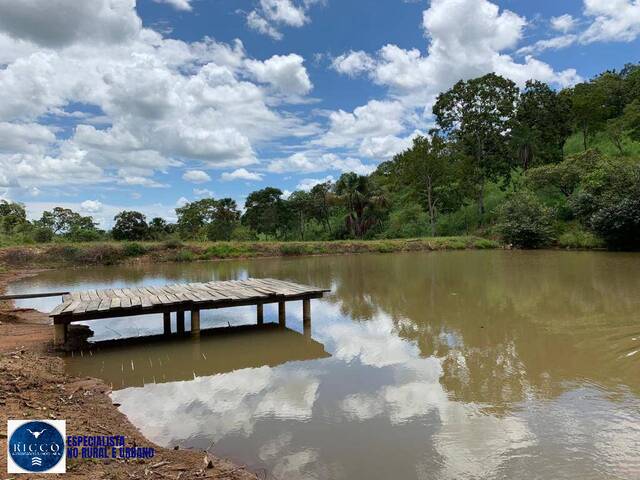 #4220 - Fazenda para Venda em Formoso - GO