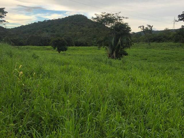 Fazenda para Venda em Formoso - 5
