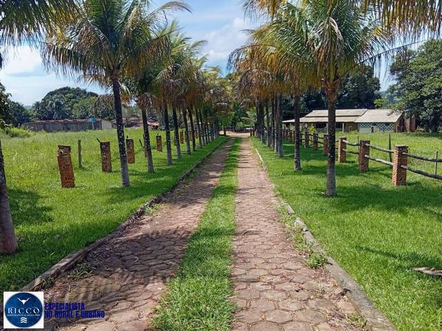 #4221 - Chácara para Venda em Mossâmedes - GO