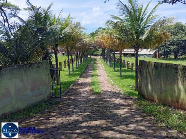 Chácara para Venda em Mossâmedes - 4