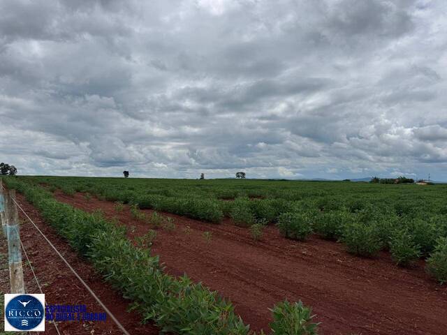 #4222 - Chácara para Venda em Itaberaí - GO
