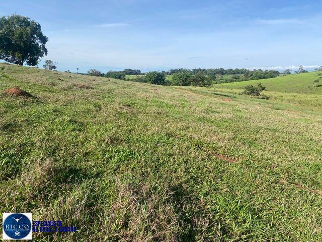 Chácara para Venda em Taquaral de Goiás - 4
