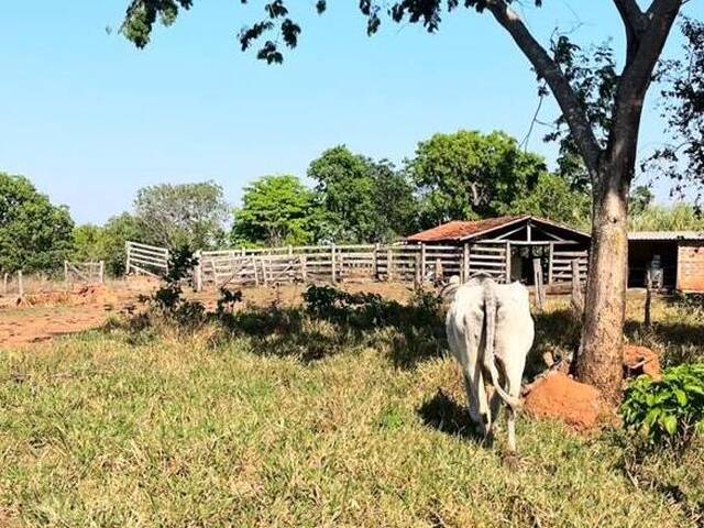 #4224 - Fazenda para Venda em Amaralina - GO