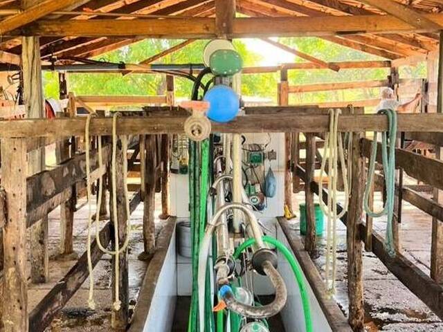 Fazenda para Venda em Amaralina - 4