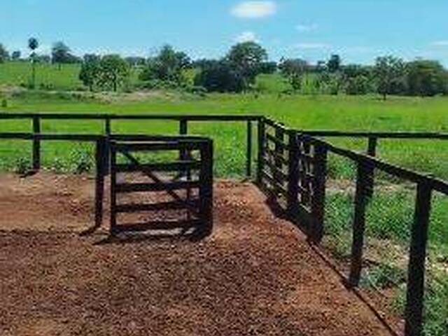 #4225 - Fazenda para Venda em Santa Terezinha de Goiás - GO