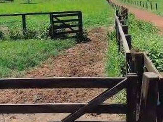 #4225 - Fazenda para Venda em Santa Terezinha de Goiás - GO
