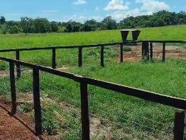 Fazenda para Venda em Santa Terezinha de Goiás - 4
