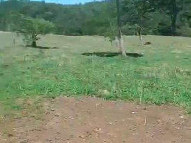 #4226 - Fazenda para Venda em Pilar de Goiás - GO