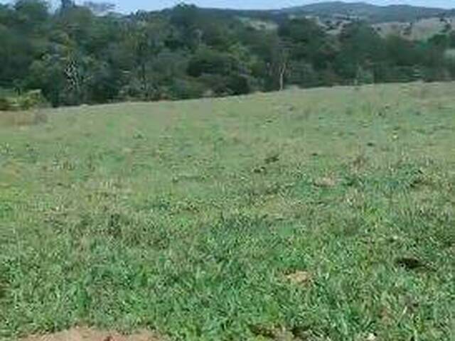 #4226 - Fazenda para Venda em Pilar de Goiás - GO