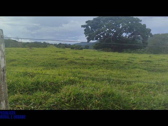 #4228 - Sítio para Venda em Pirenópolis - GO