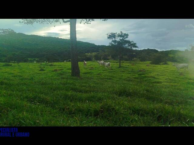 Sítio para Venda em Pirenópolis - 4