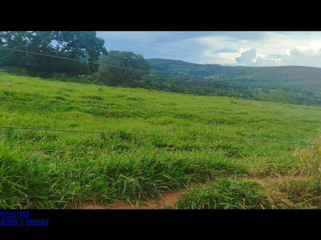 Sítio para Venda em Pirenópolis - 5