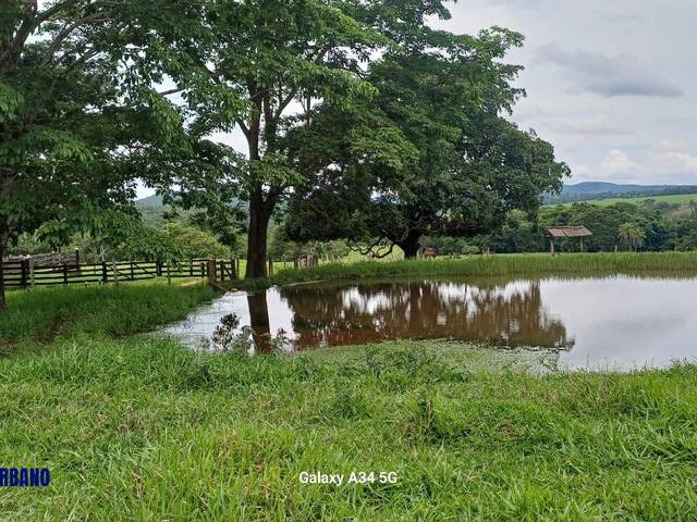 #4229 - Fazenda para Venda em Pirenópolis - GO