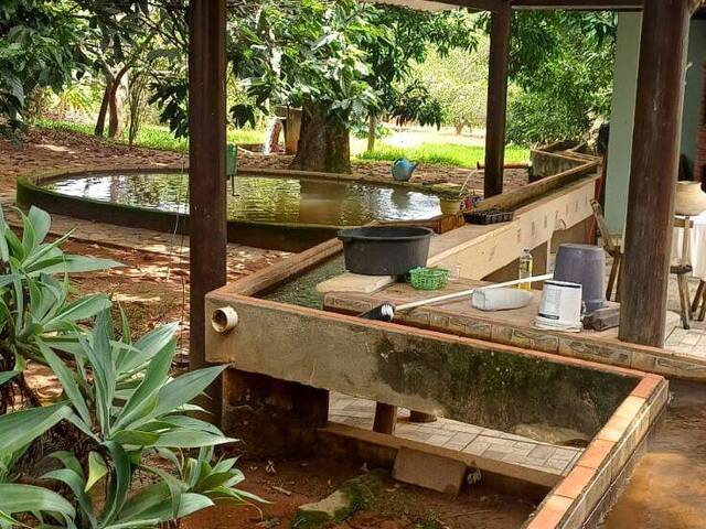 Fazenda para Venda em Pirenópolis - 5