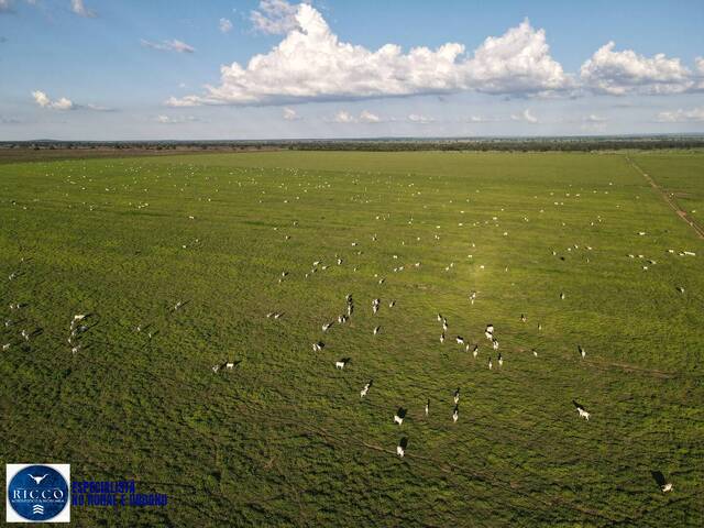 #4233 - Fazenda para Venda em Montes Claros de Goiás - GO
