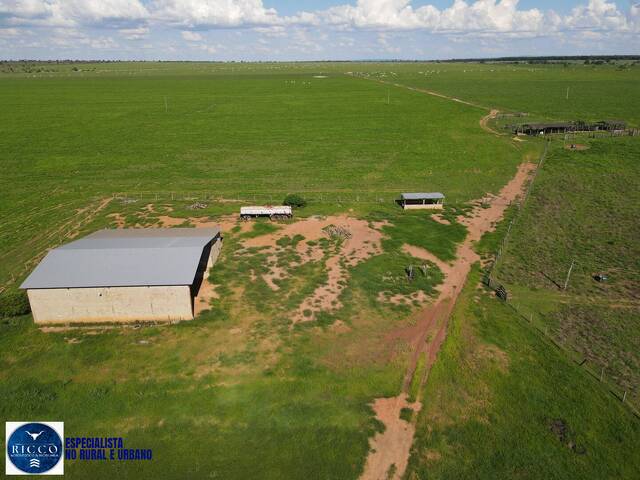 Fazenda para Venda em Montes Claros de Goiás - 5