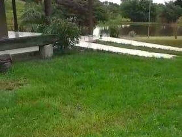 #4235 - Fazenda para Venda em Goiás - GO