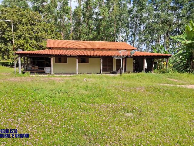 #4236 - Fazenda para Venda em Dianópolis - TO