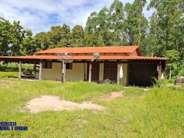 Fazenda para Venda em Dianópolis - 4
