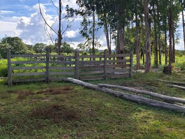 #4236 - Fazenda para Venda em Dianópolis - TO