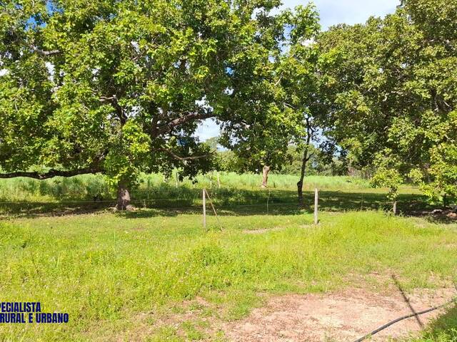 Fazenda para Venda em Dianópolis - 5
