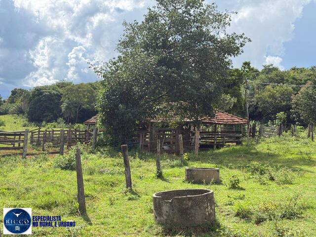 Fazenda para Venda em Caturaí - 4