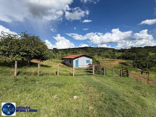 #3938 - Fazenda para Venda em Caturaí - GO