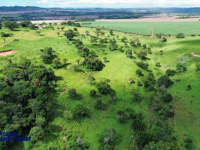Fazenda para Venda em Caturaí - 5