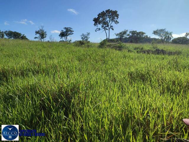 #4237 - Fazenda para Venda em Novo Brasil - GO