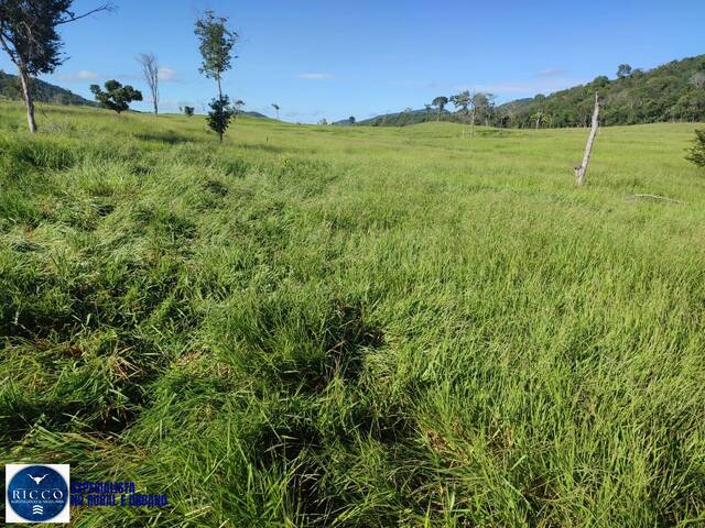 #4237 - Fazenda para Venda em Novo Brasil - GO