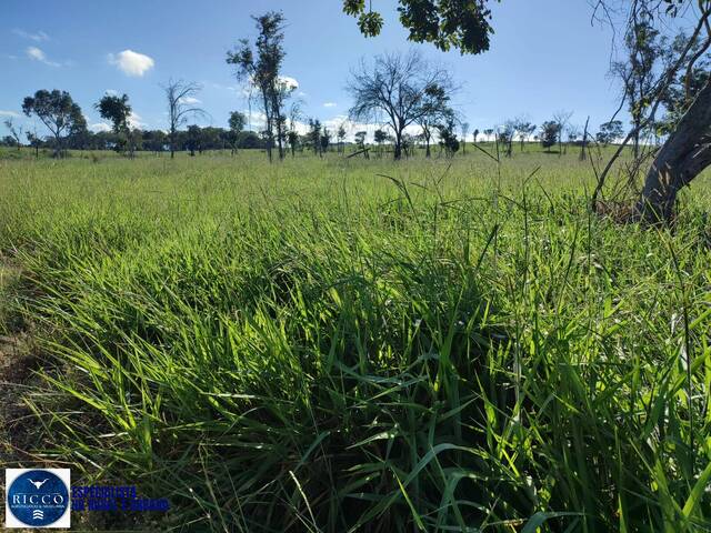Fazenda para Venda em Novo Brasil - 5