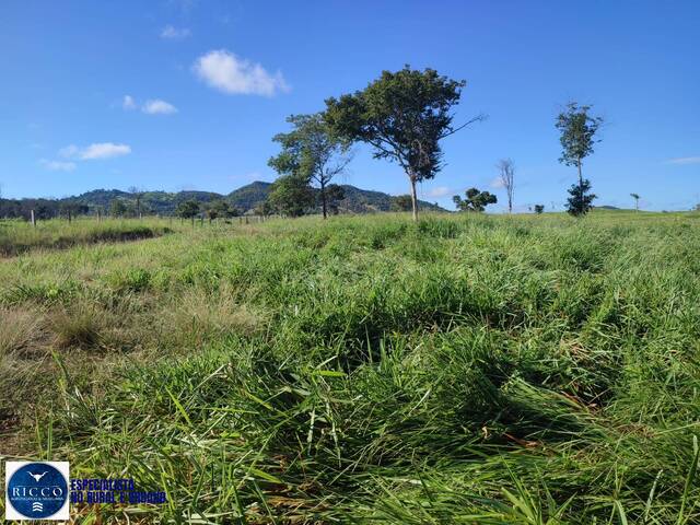 Fazenda para Venda em Novo Brasil - 4