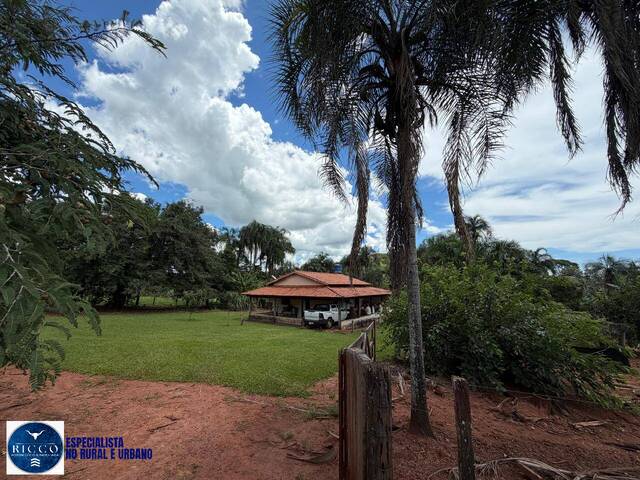 #4238 - Fazenda para Venda em Santa Rosa de Goiás - GO