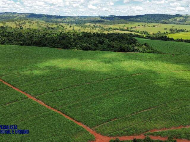 #4238 - Fazenda para Venda em Santa Rosa de Goiás - GO