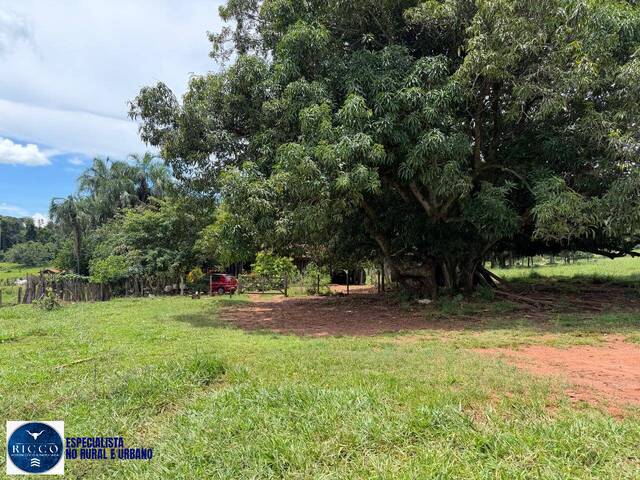#4238 - Fazenda para Venda em Santa Rosa de Goiás - GO