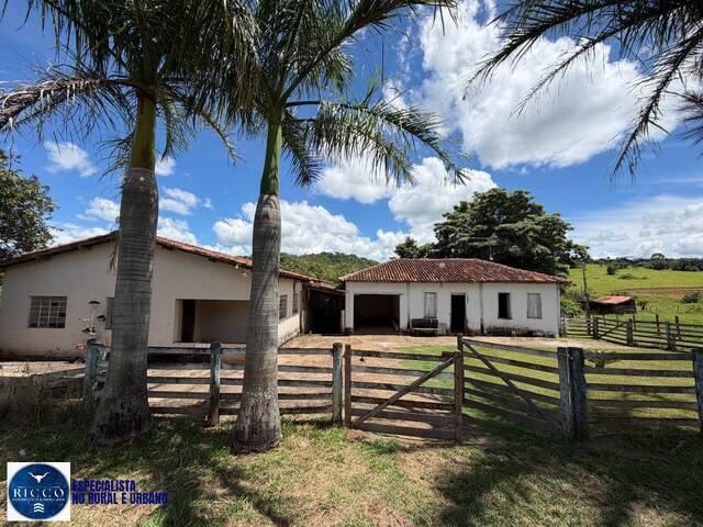 #4239 - Chácara para Venda em Inhumas - GO