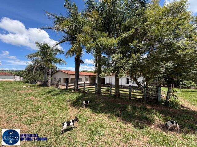 Chácara para Venda em Inhumas - 4