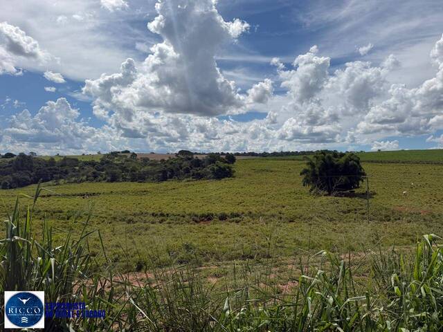 #4240 - Chácara para Venda em Inhumas - GO