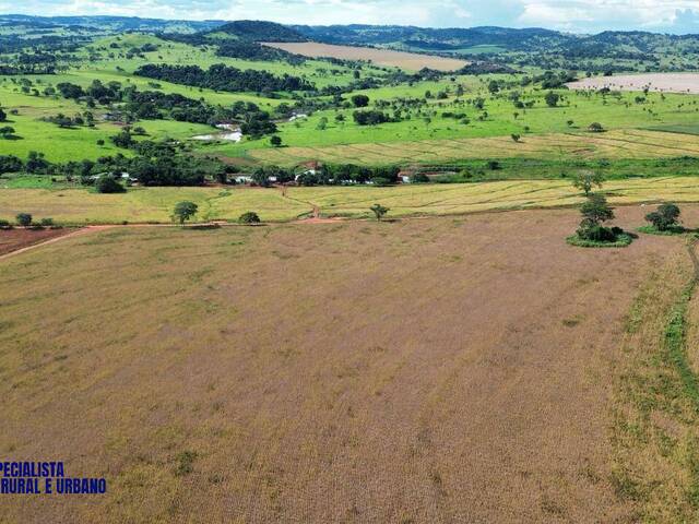 #4241 - Chácara para Venda em Caturaí - GO