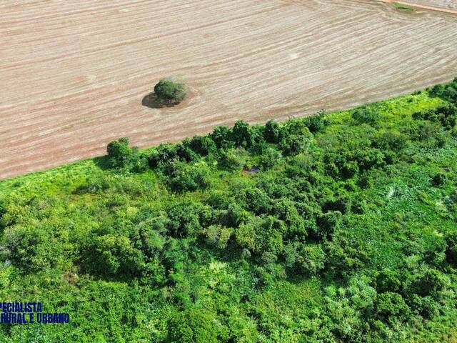 Chácara para Venda em Caturaí - 4
