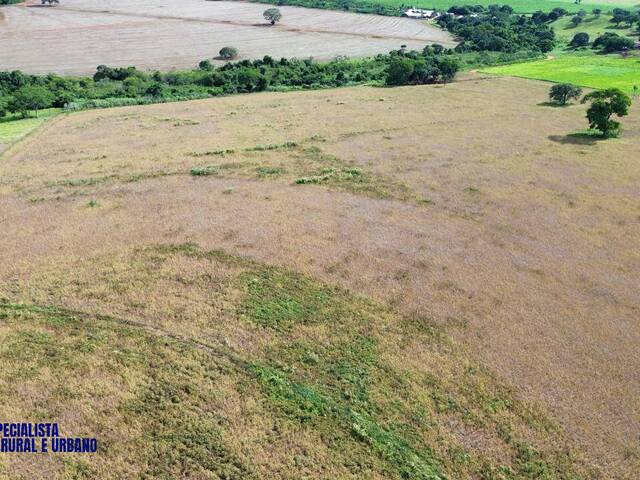Chácara para Venda em Caturaí - 5
