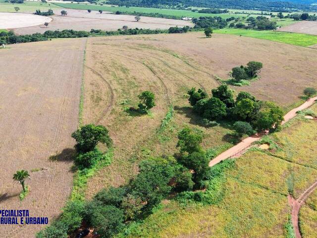#4241 - Chácara para Venda em Caturaí - GO