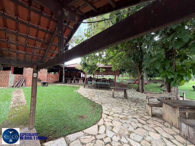 #4242 - Chácara para Venda em Caturaí - GO