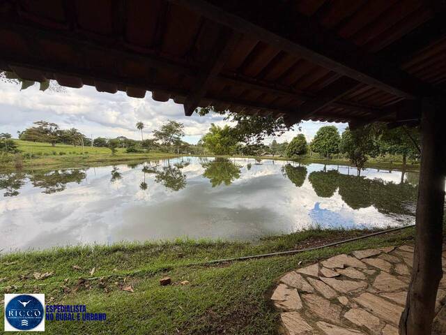 Chácara para Venda em Caturaí - 4