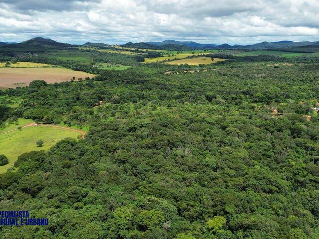 Fazenda para Venda em Pirenópolis - 4