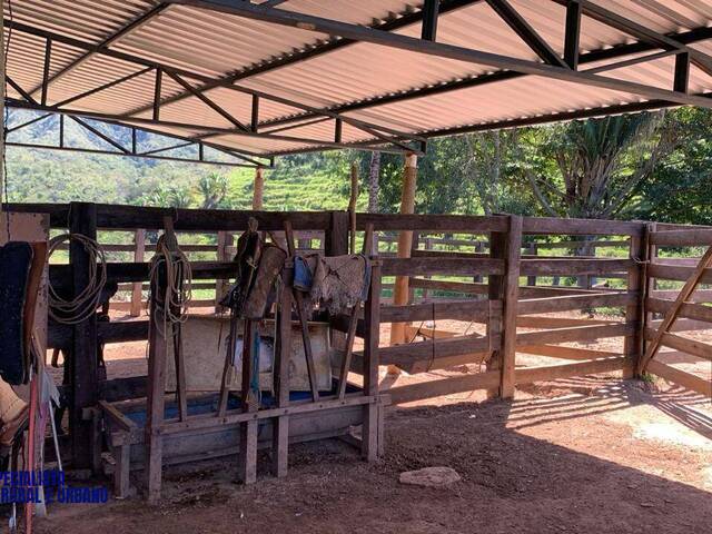 Fazenda para Venda em Niquelândia - 5