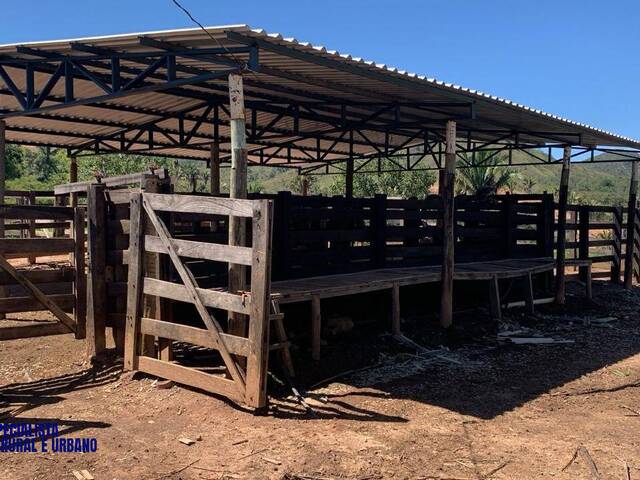 Fazenda para Venda em Niquelândia - 4