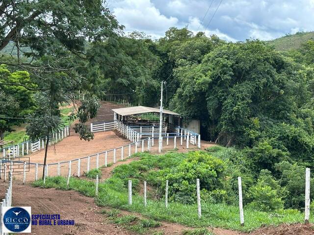 #4245 - Fazenda para Venda em Santa Cruz de Goiás - GO
