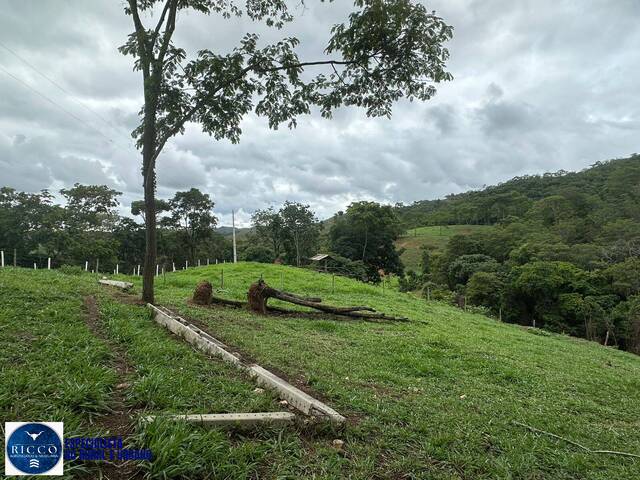 Fazenda para Venda em Santa Cruz de Goiás - 4