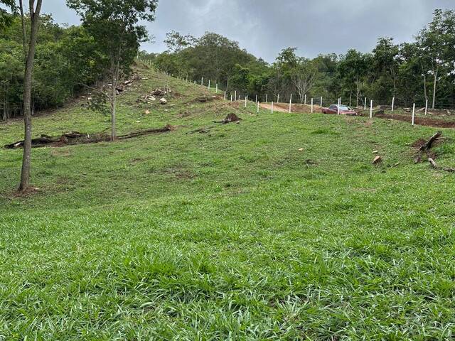 Fazenda para Venda em Santa Cruz de Goiás - 5